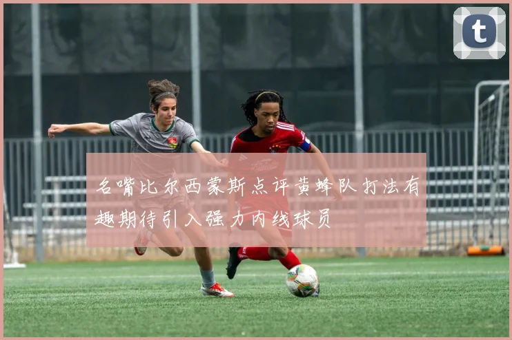 名嘴比尔西蒙斯点评黄蜂队打法有趣期待引入强力内线球员