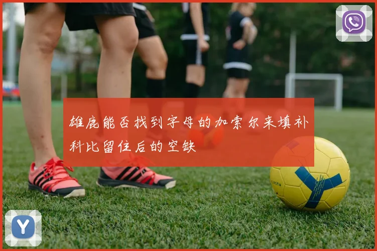 雄鹿能否找到字母的加索尔来填补科比留住后的空缺
