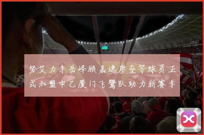 努艾力李岳峰顾嘉逸廖垒等球员正式加盟中乙厦门飞鹭队助力新赛季